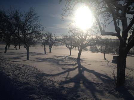Villa Sukka Winterlingen Esterno foto